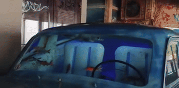 Carro convertido em aquário com peixes se torna atração nas redes
