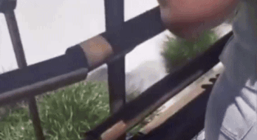 Homem%20arrisca%20vida%20nas%20Cataratas%20do%20Igua%C3%A7u%20(PR)