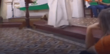 Cachorro caramelo interrompe missa ao puxar batina de padre