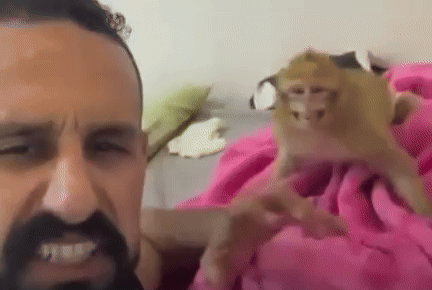 Macaquinho%20viraliza%20ao%20dan%C3%A7ar%20com%20tutor%20em%20v%C3%ADdeo%20fofo