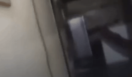 Influenciador é morto a tiros durante live no TikTok